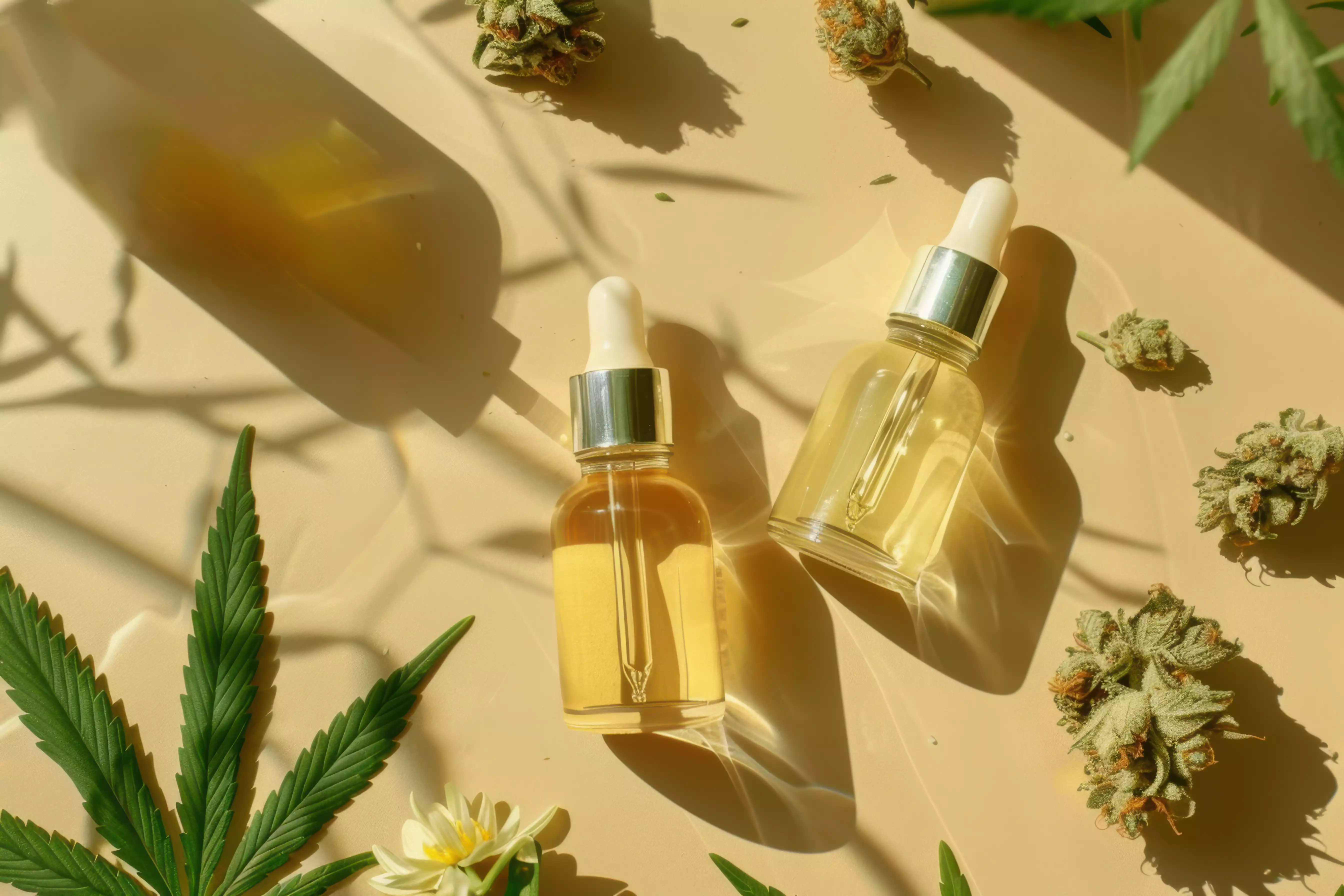 Разница между CBD и THC