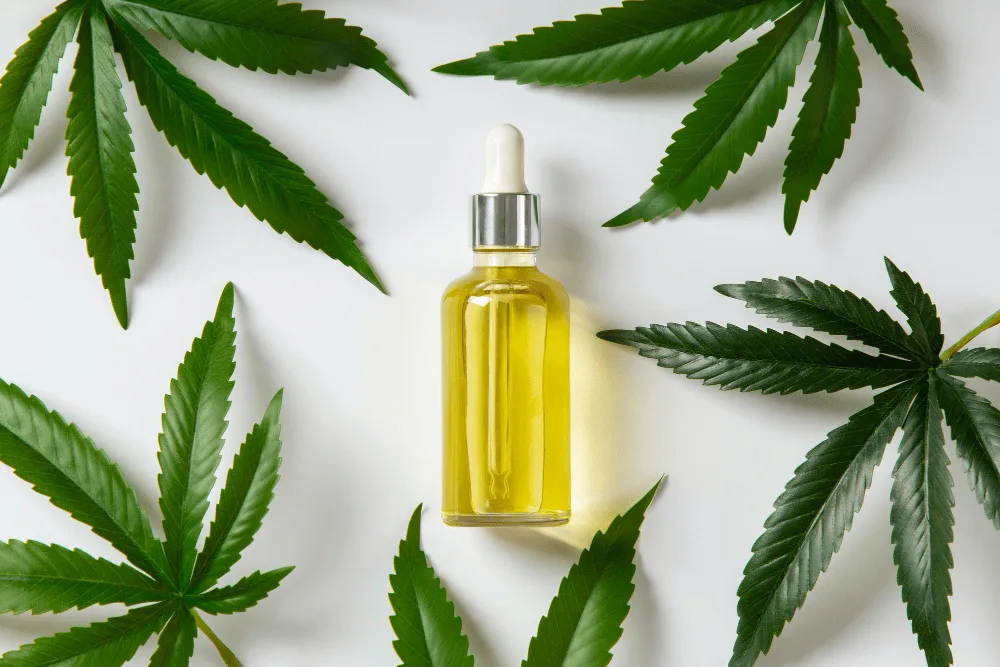 Как правильно принимать масло CBD