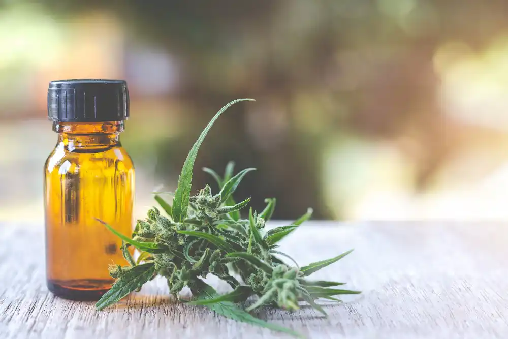 CBD при лечении ПТСР
